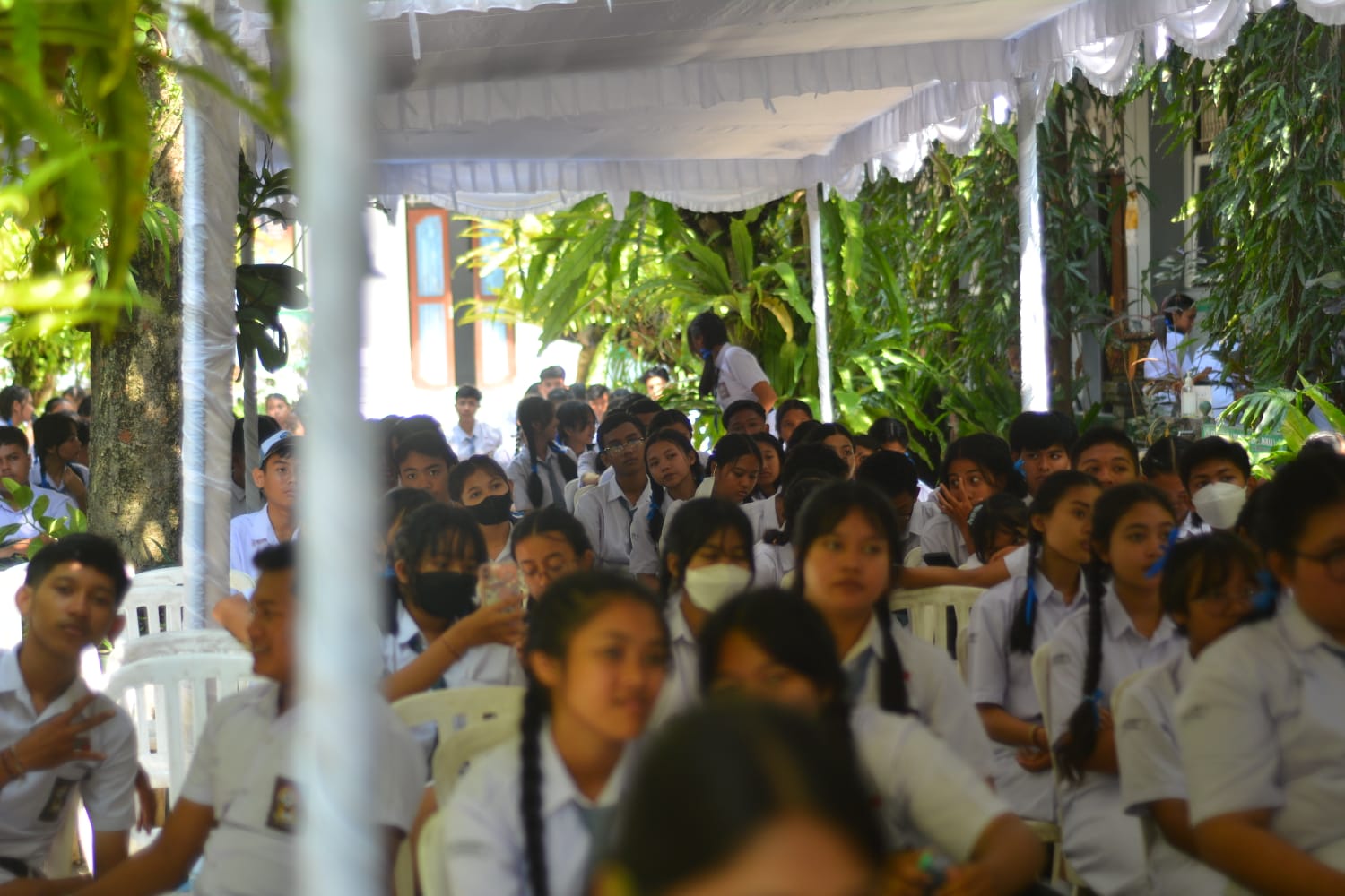 calonosis6