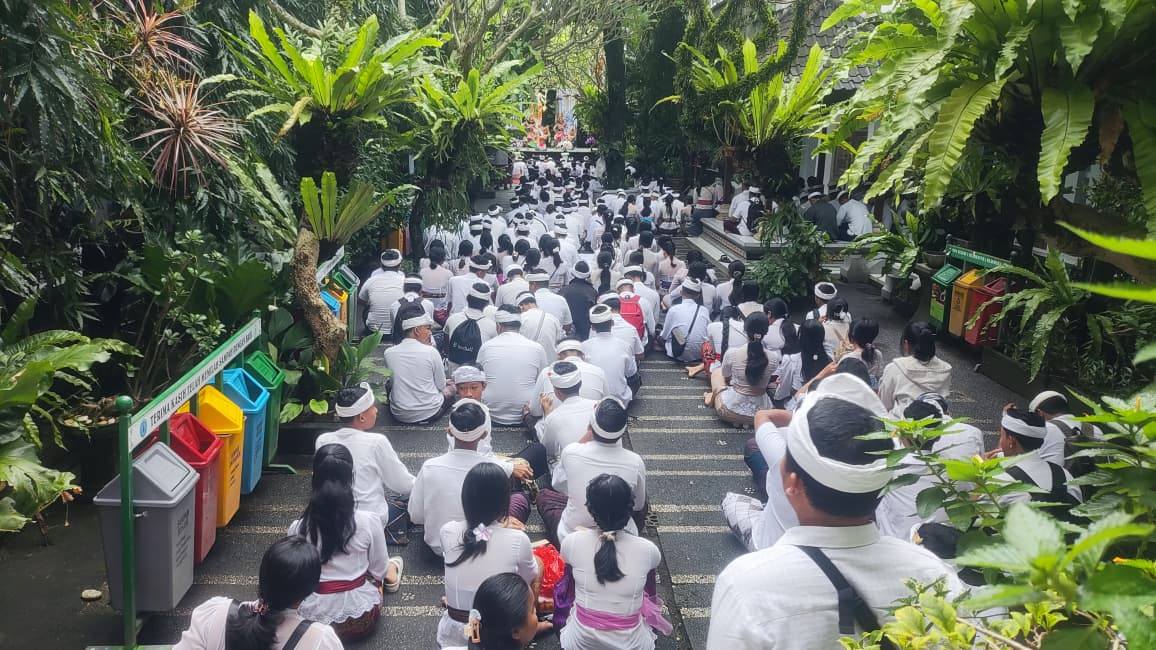 bln bhs bali 26
